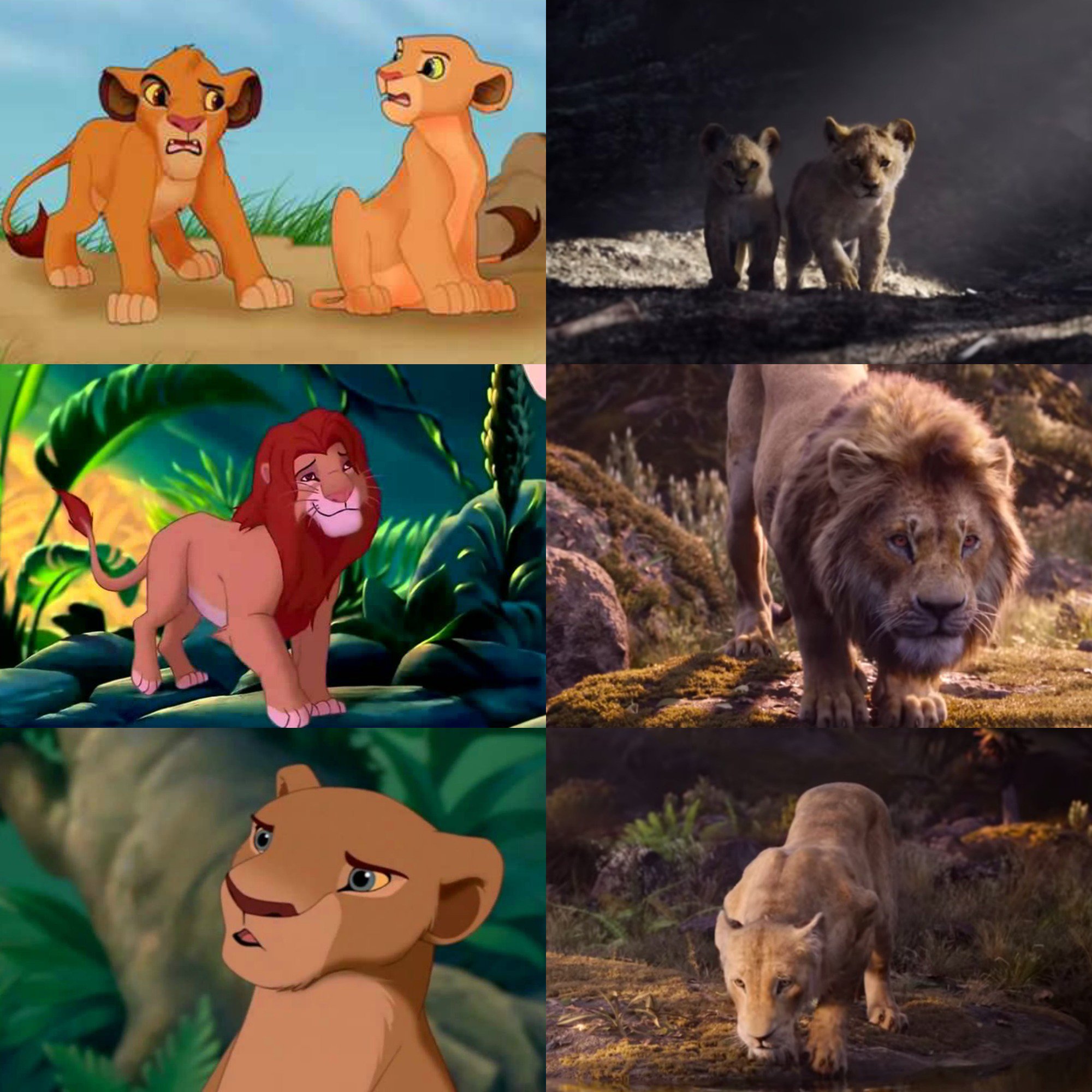 The Lion King,